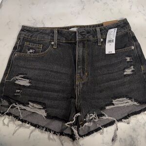 Pacsun High Rise Festival Fitted Waist Jean Shorts Charmane